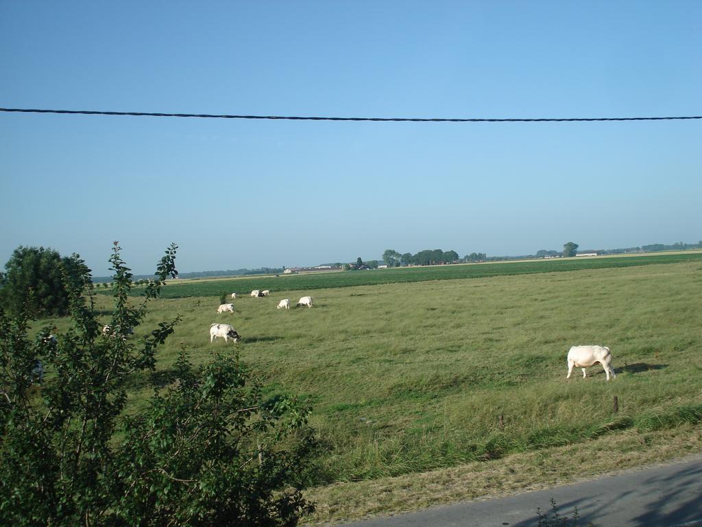 B&B Hoeve 'T Geleed Damme Extérieur photo